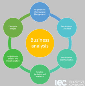 Interim CEO Business Analysis